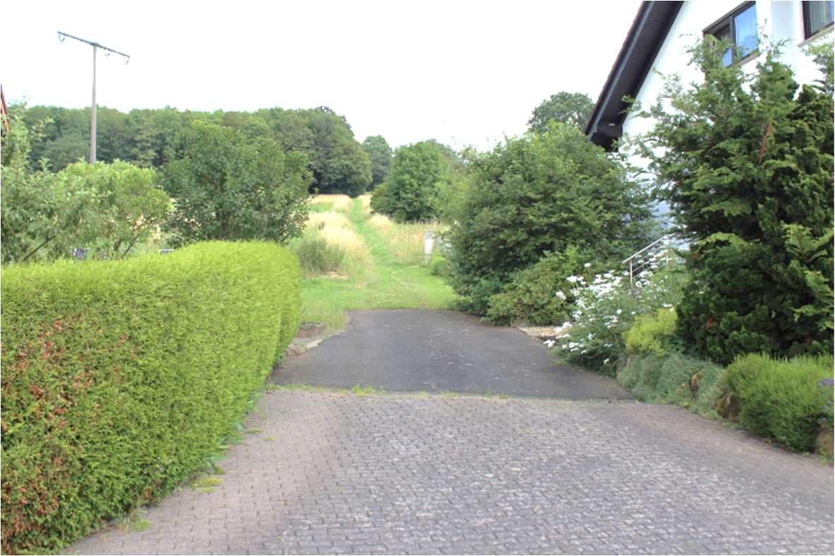 unbebautes Grundstück, land- und forstwirtschaftlich genutztes Grundstück - Bild 1