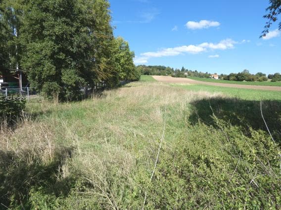 land- und forstwirtschaftlich genutztes Grundstück - Bild 1