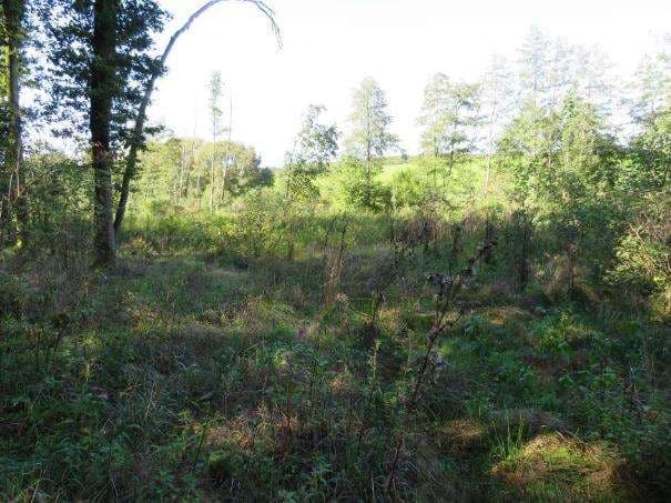 land- und forstwirtschaftlich genutztes Grundstück, unbebautes Grundstück - Bild 1