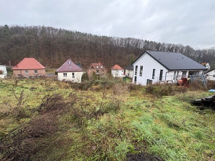 unbebautes Grundstück