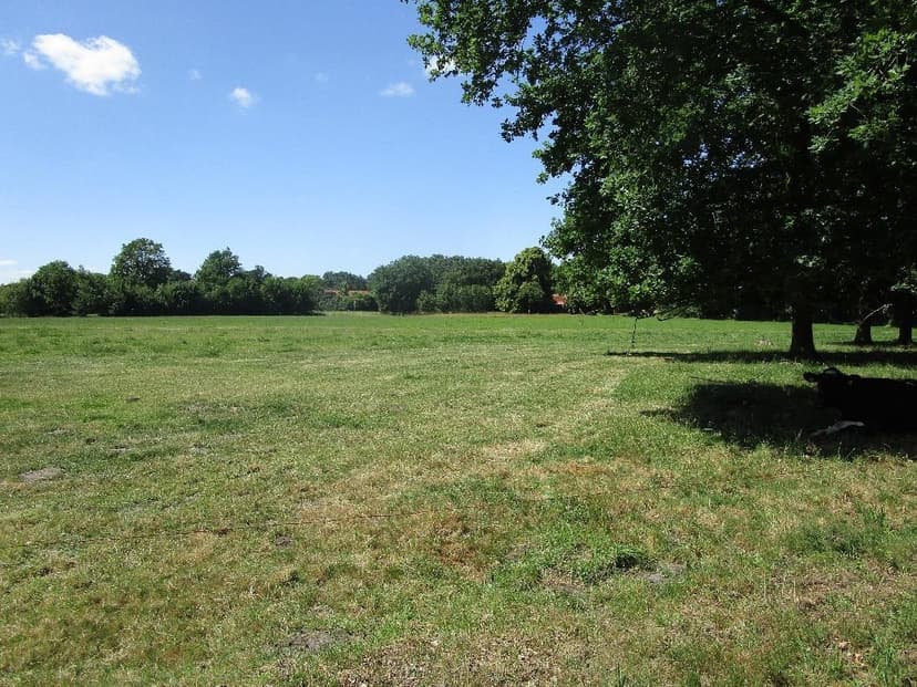 land- und forstwirtschaftlich genutztes Grundstück