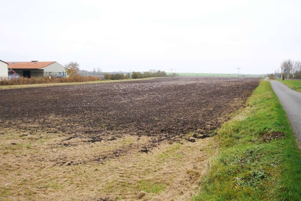 land- und forstwirtschaftlich genutztes Grundstück - Bild 1