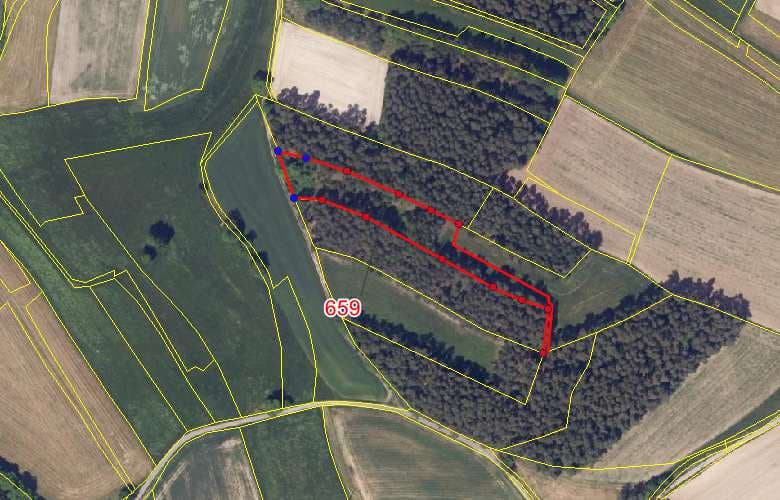 Waldgrundstück - Bild 1