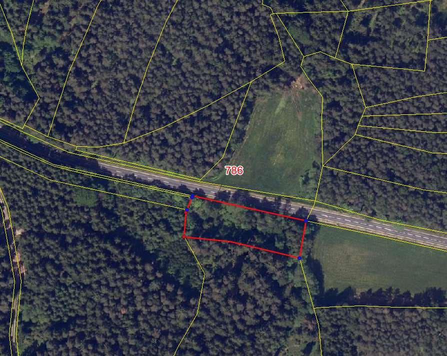 Waldgrundstück - Bild 1