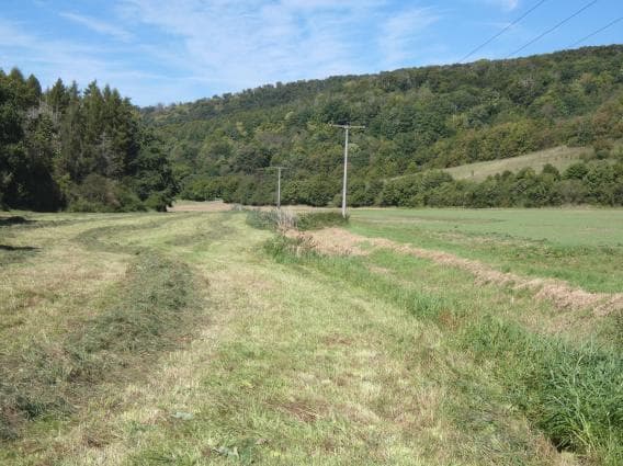 land- und forstwirtschaftlich genutztes Grundstück