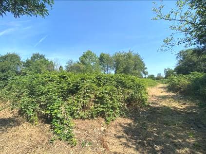 unbebaute Grün- bzw. Kleingartenfläche