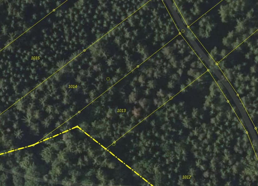 Einfamilienhaus, Sonstiges, land- und forstwirtschaftlich genutztes Grundstück