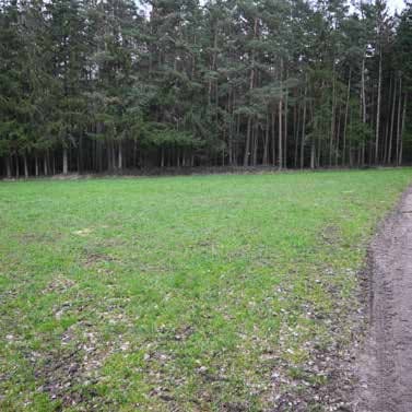 land- und forstwirtschaftlich genutztes Grundstück