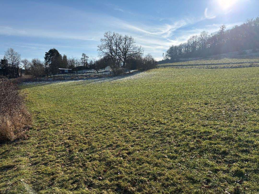 land- und forstwirtschaftlich genutztes Grundstück - Bild 1