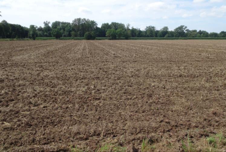 land- und forstwirtschaftlich genutztes Grundstück