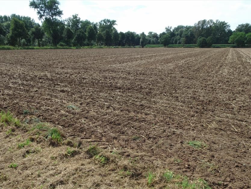 land- und forstwirtschaftlich genutztes Grundstück - Bild 1