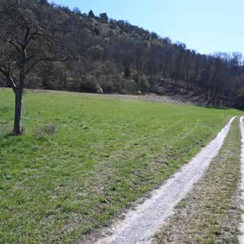 Waldfläche; Verkehrsfläche; Landwirtschaftsfläche  - Bild 1