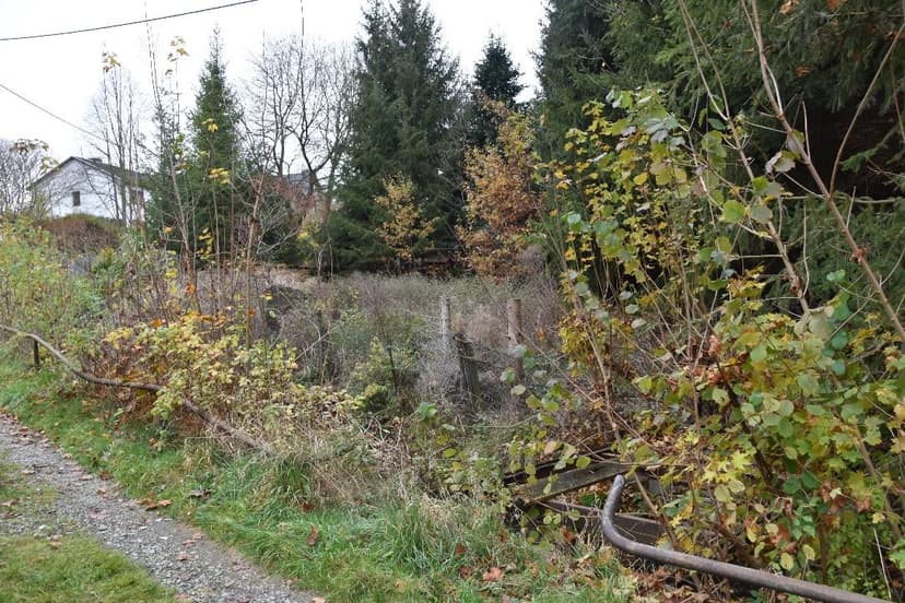 verwildertes Gartengrundstück gelegen am Ziegelweg