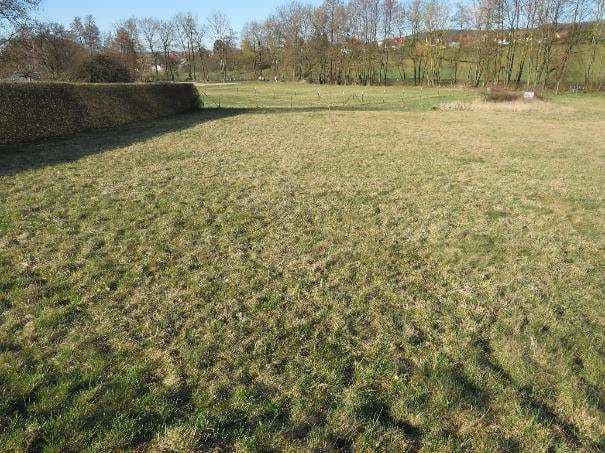 Landwirtschaftsfläche