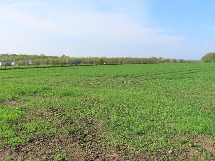 unbebautes Grundstück - Bild 1