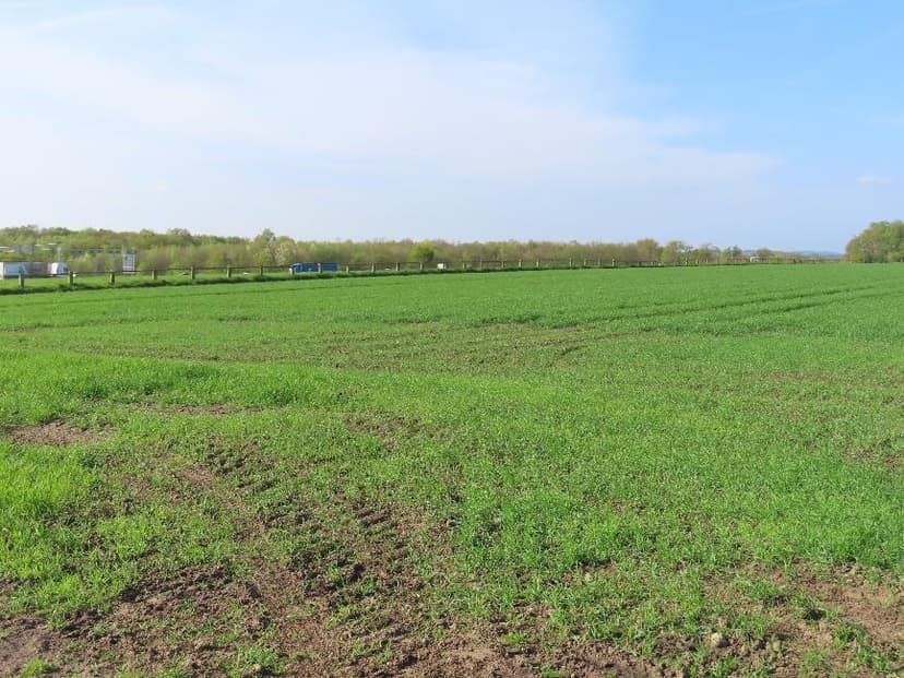 unbebautes Grundstück