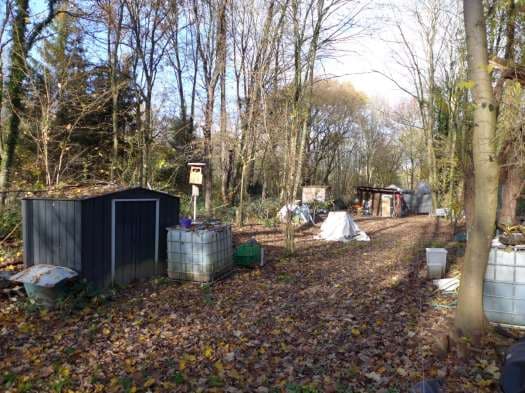 land- und forstwirtschaftlich genutztes Grundstück - Bild 1