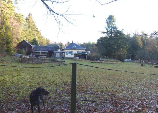 Einfamilienhaus