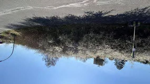 Baugrundstück, unbebautes Grundstück - Bild 1