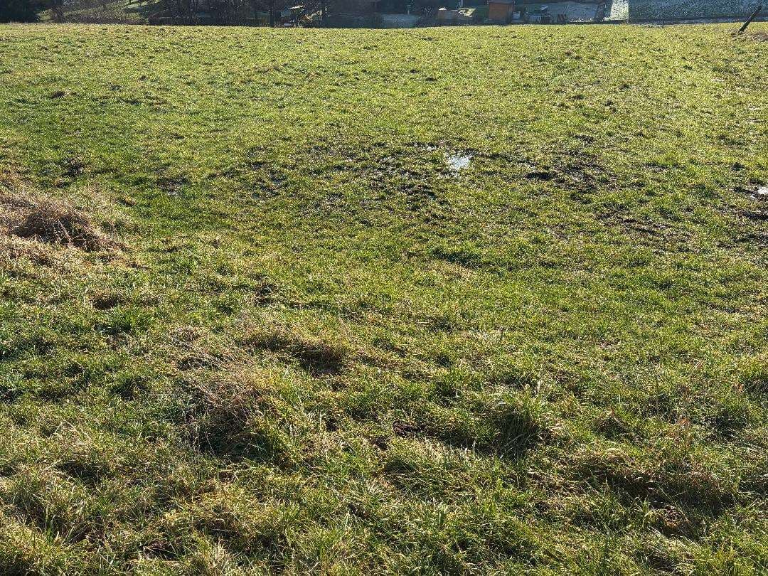 Landwirtschaftsfläche - Bild 1