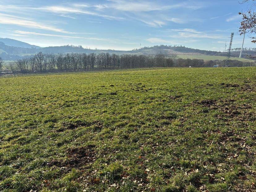 land- und forstwirtschaftlich genutztes Grundstück