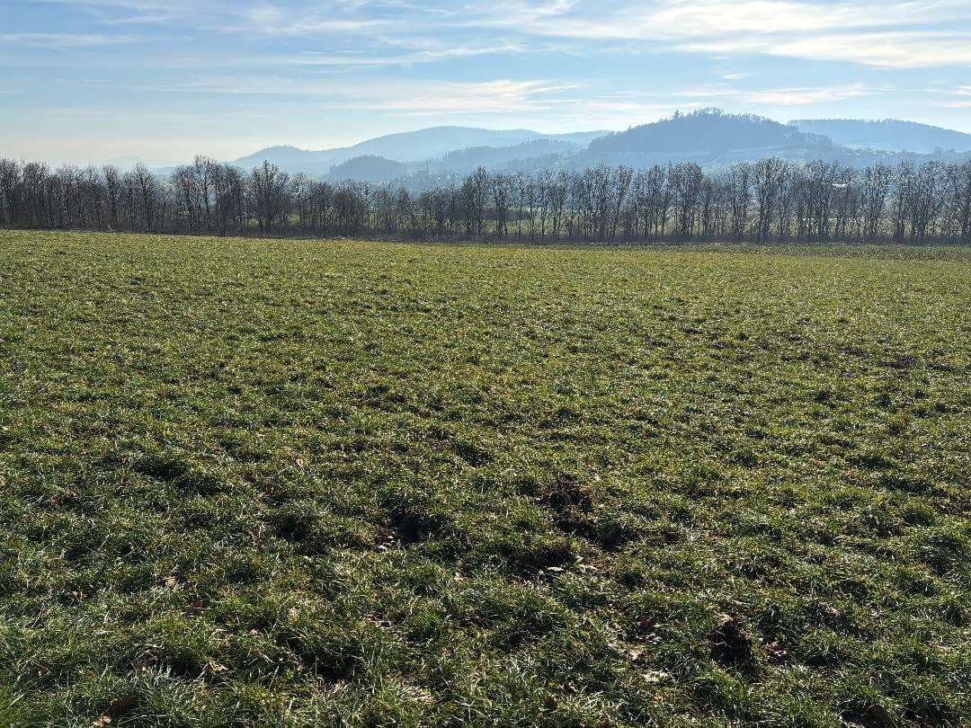 land- und forstwirtschaftlich genutztes Grundstück - Bild 1