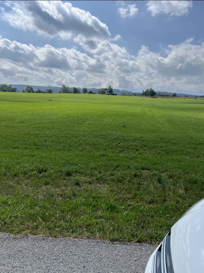land- und forstwirtschaftlich genutztes Grundstück - Bild 1