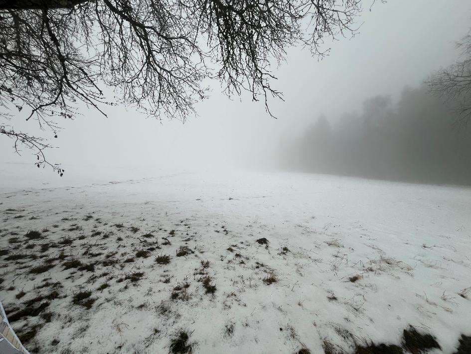 Sonstiges - Bild 1