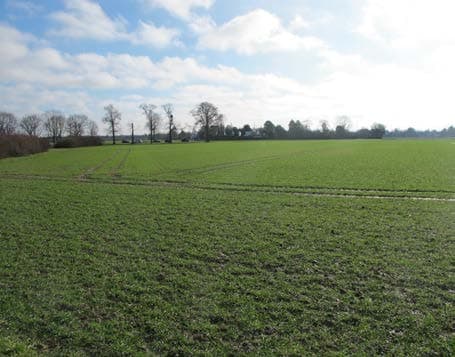 landwirtschaftlich genutzte Grundstücke