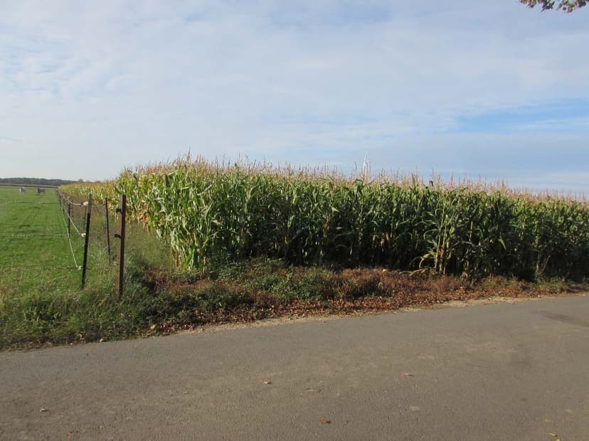 land- und forstwirtschaftlich genutztes Grundstück, ein unbebautes landwirtschaftliches Ackergrundstück