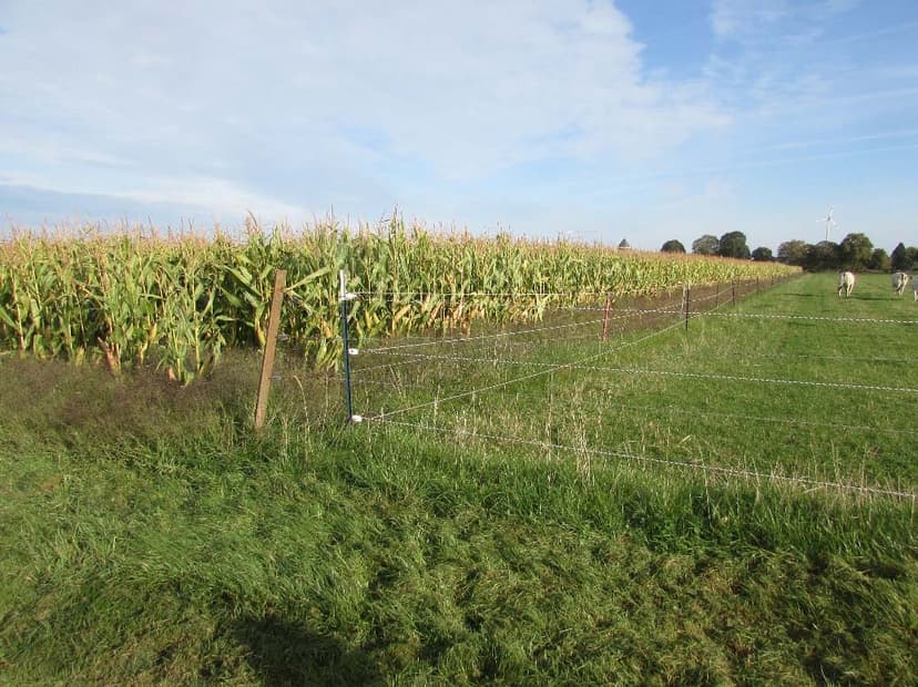 land- und forstwirtschaftlich genutztes Grundstück, ein unbebautes, landwirtschaftliches Ackergrundstück