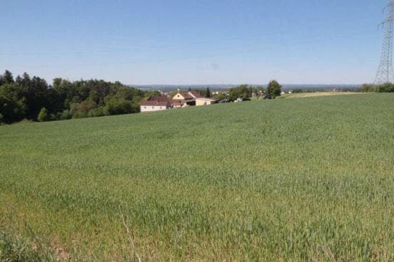land- und forstwirtschaftlich genutztes Grundstück