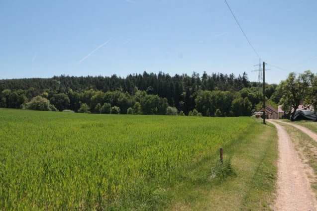 land- und forstwirtschaftlich genutztes Grundstück - Bild 1