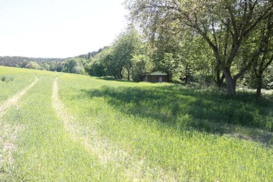 Waldfläche, Gebäude- und Freifläche, Landwirtschaftsfläche