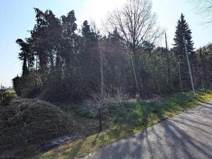 Sonstiges, unbebaute Gehölzfläche - Bild 1