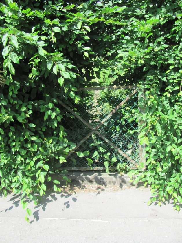 Sport-, Freizeit- und Erholungsfläche - Garten mit Gartenlaube - Bild 1