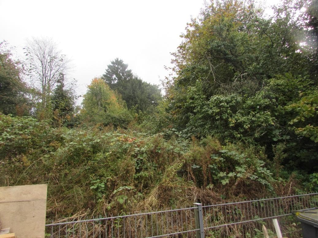 unbebautes Grundstück, in der Gemarkung Bensberg-Freiheit - Bild 1