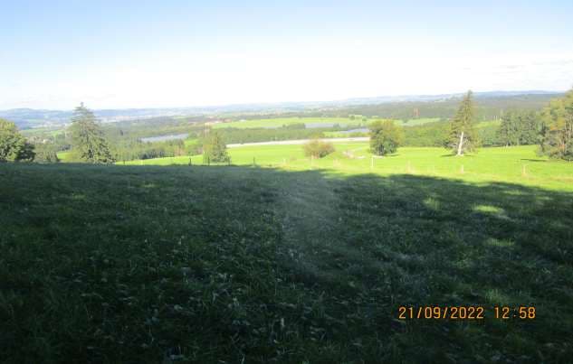 land- und forstwirtschaftlich genutztes Grundstück - Bild 1