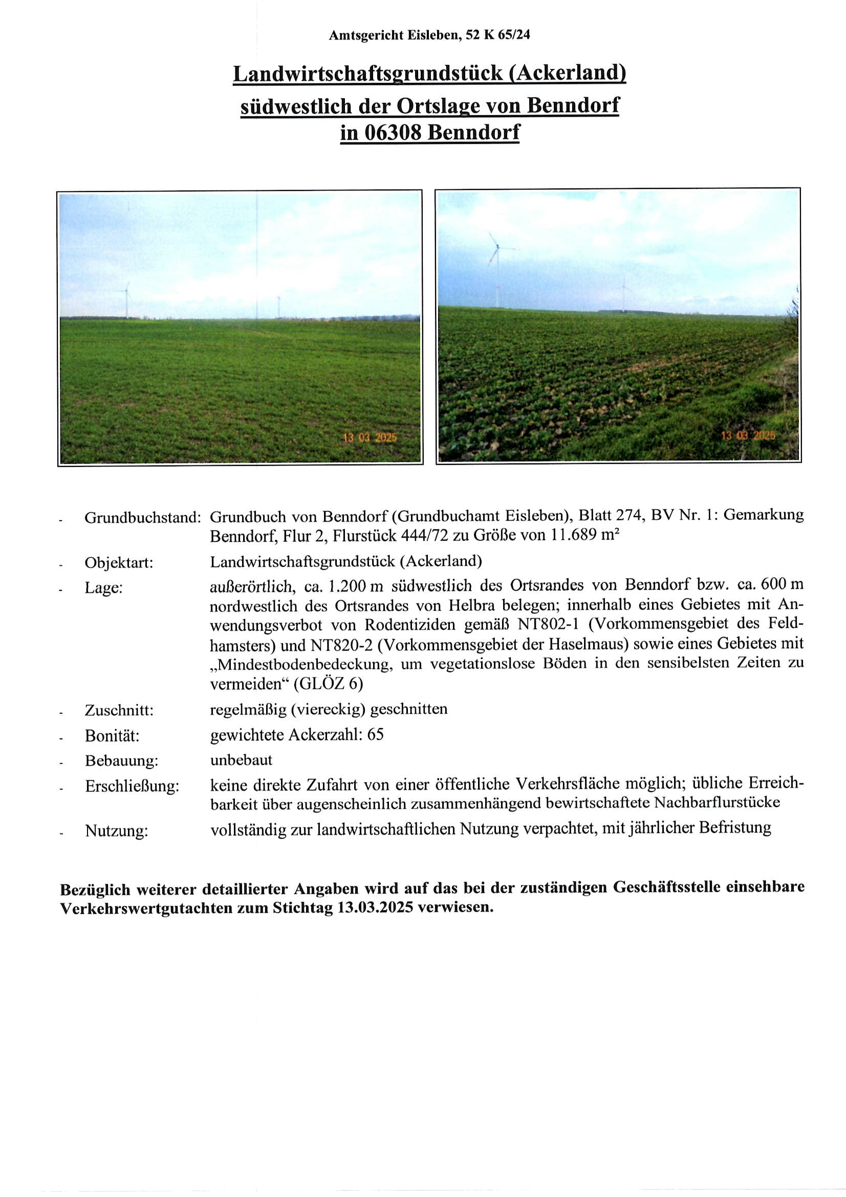 landwirtschaftlich genutztes Grundstück - Bild 1