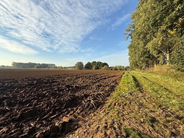 unbebaute Grundstücke - Bild 1