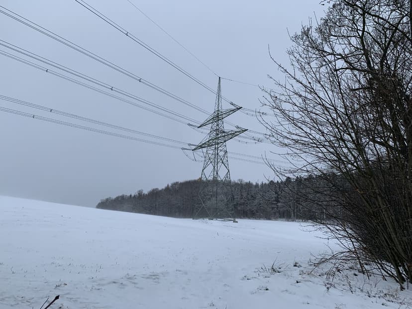 land- und forstwirtschaftlich genutztes Grundstück