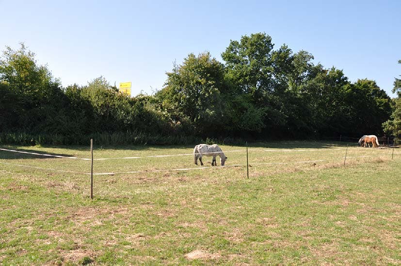Arrondierungsgrundstück in Innenlage und private Grünfläche (unter Landschaftsschutz) - Bild 1