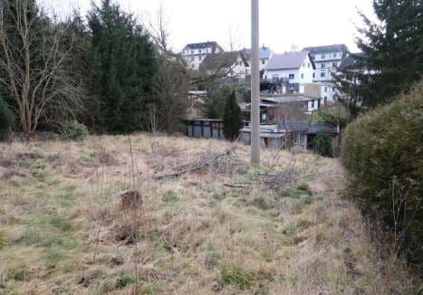 Sonstiges - Bild 1