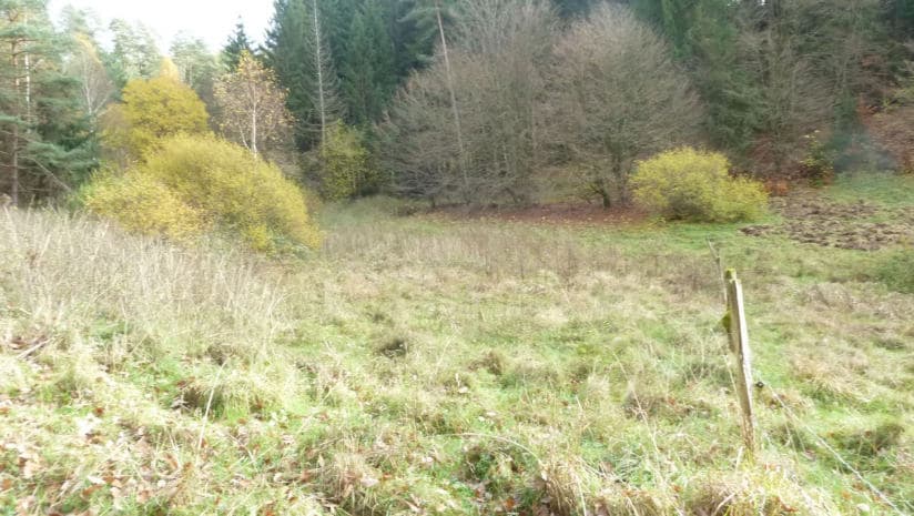 land- und forstwirtschaftlich genutztes Grundstück - Bild 1