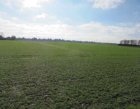 landwirtschaftlich genutzte Grundstücke - Bild 1