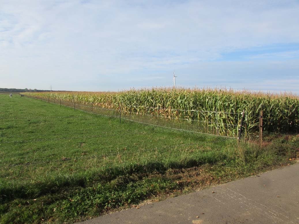 land- und forstwirtschaftlich genutztes Grundstück, ein unbebautes landwirtschaftliches Ackergrundstück - Bild 1
